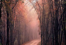 aoa体育新闻-利物浦锋线组合默契，世俱杯争冠实力凸显