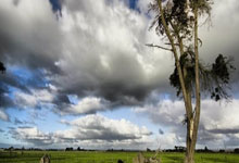 aoa体育视频-拜仁2-1逆转法兰克福领先保持 实力依旧稳坐德甲榜首，拜仁vs法兰克福历史战绩