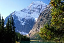 aoa体育直播-澳大利亚新星闪耀英超，签约大揭幕！