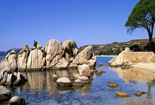 aoa体育活动-拜仁慕尼黑主场击败门兴格拉德巴赫，领跑德甲积分榜，拜仁慕尼黑多少次德甲冠军