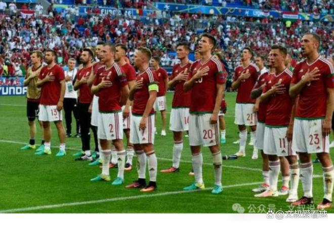 威尔士国家队vs匈牙利：实力悬殊争分夺秒的简单介绍