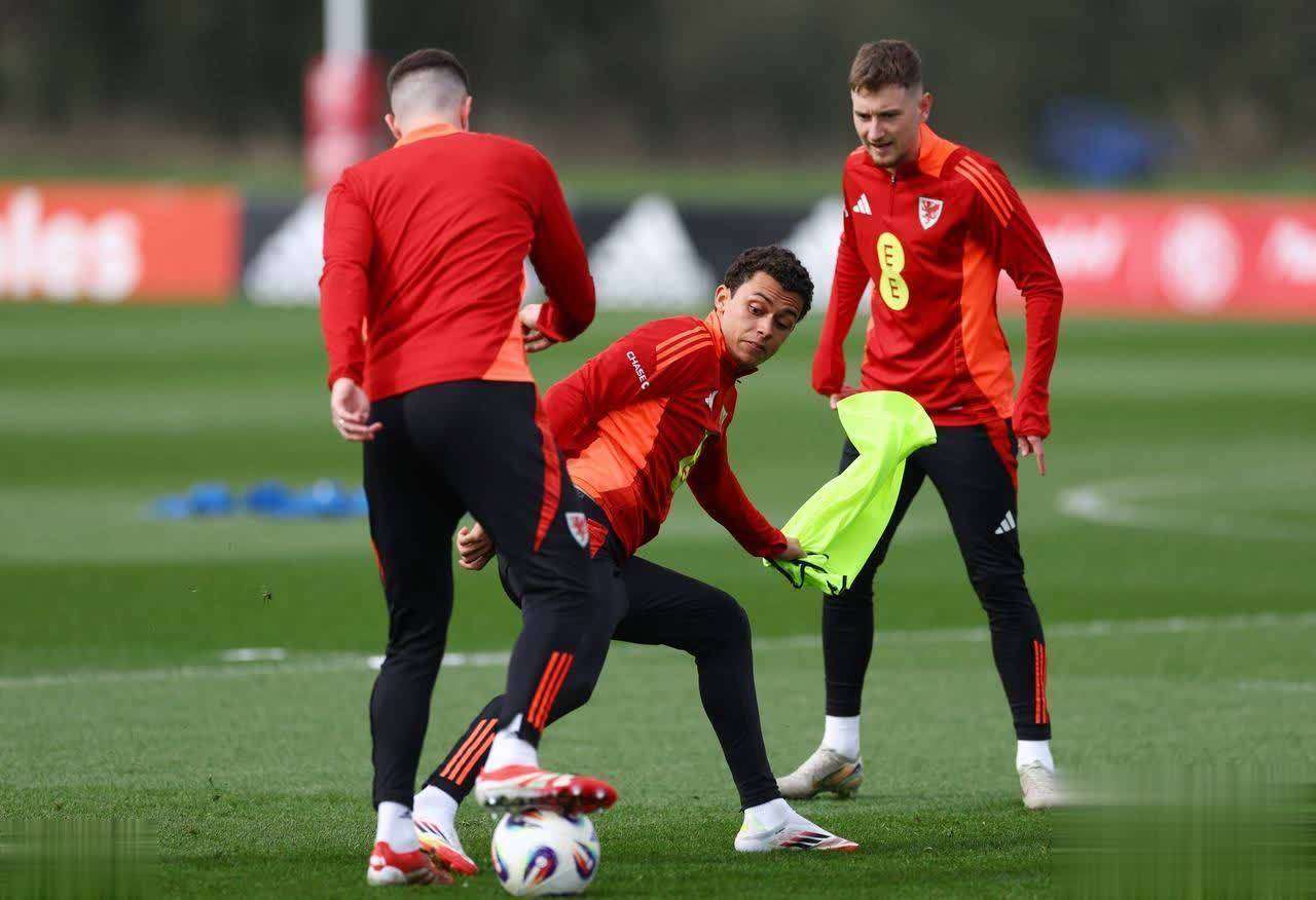 威尔士队在欧洲联赛中遭受打击(威尔士队在欧洲联赛中遭受打击了吗)