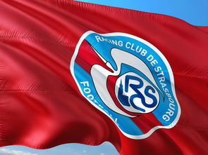 aoa体育培训-帕尔梅拉斯队长发声,誓夺世俱杯冠军荣耀