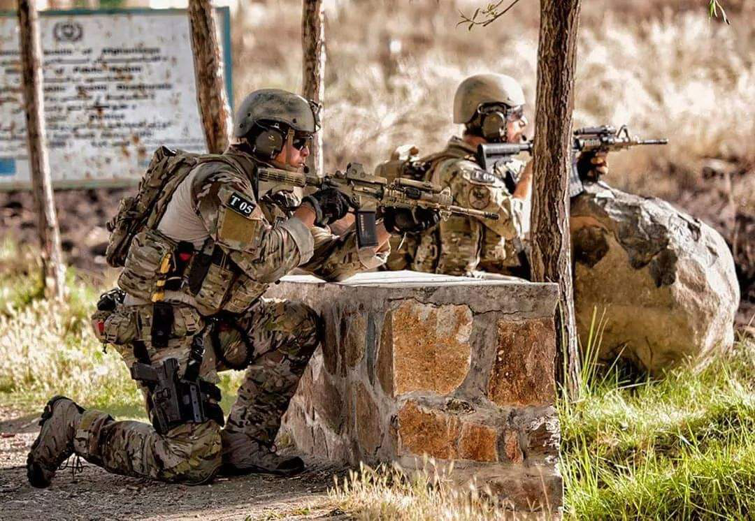 匈牙利横扫乌克兰,豪取小组第二的简单介绍 匈牙利横扫乌克兰,豪取小组第二的简单介绍